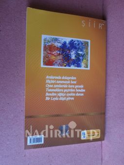 BİR LEYLA DÜŞÜ