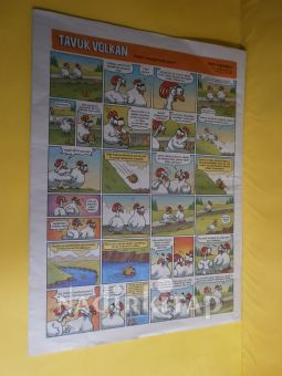 HAFTALIK PENGUEN * No: 706.*2016 / 13