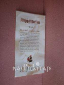 PEYGAMBERİM SALLALLAHU ALEYHİ VERSELLEM