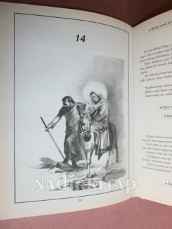 VE BİZ( Eşekler Hakkında )** BİRİNCİ BASIM**