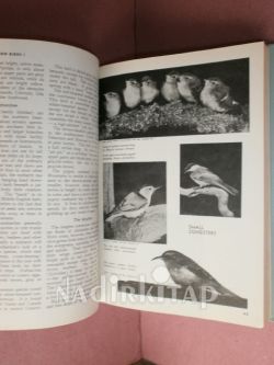THE BOOK OF POPULAR SCIENCE ( VOLUME -6 )