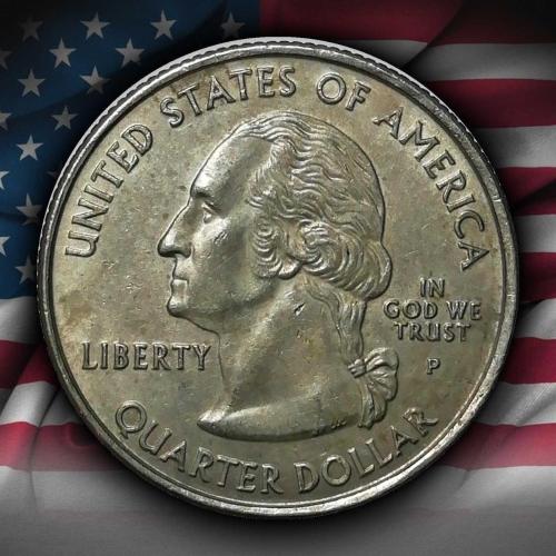 ABD 2004 YILI ¼ Dolar Florida ÇİLALTI