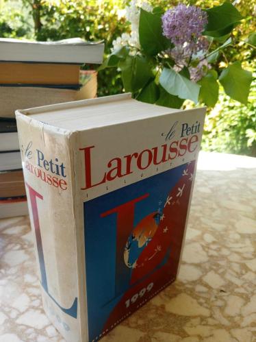 Le Petit Larousse illustre 1999 ( 87000 articles, 3800 illustrations)