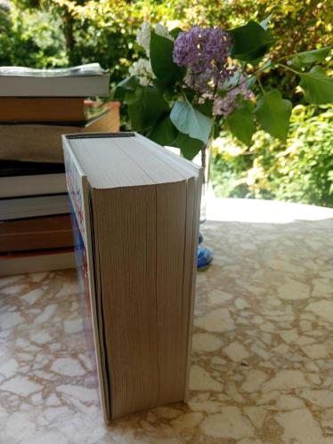 Le Petit Larousse illustre 1999 ( 87000 articles, 3800 illustrations)