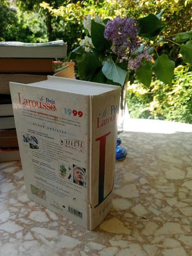 Le Petit Larousse illustre 1999 ( 87000 articles, 3800 illustrations)