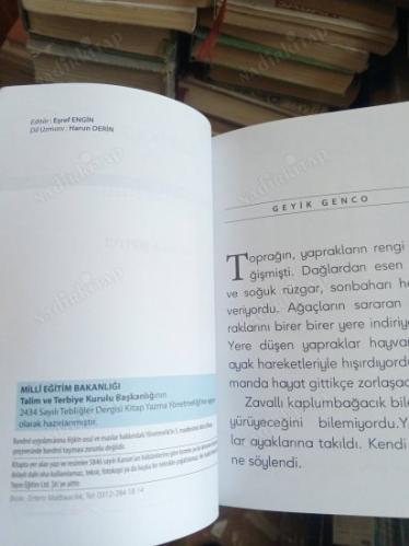 BÜYÜYEN ÇOCUK DİZİSİ : GEYİK GENCO