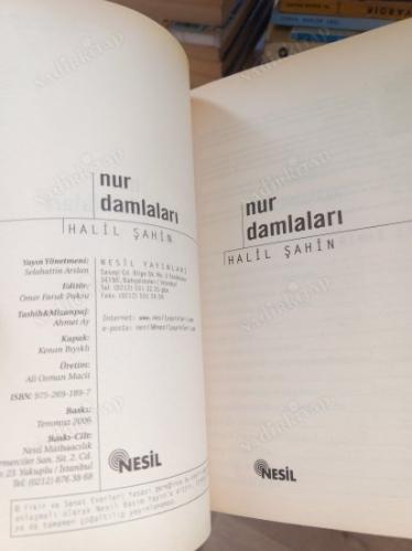 NUR DAMLALARI