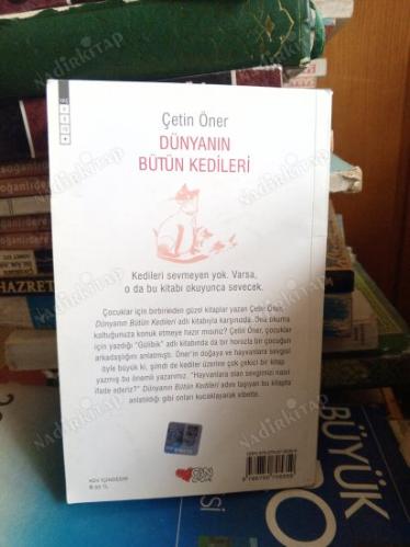 DÜNYANIN BÜTÜN KEDİLERİ