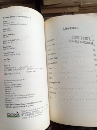 MEKTUPTAKİ SIR