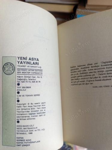 Bir Arının Hatıra Defteri