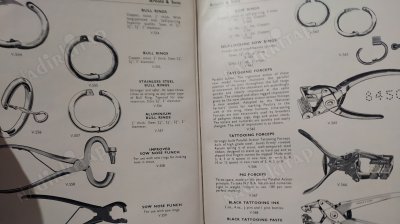 ARNOLD and SONS Veterinary Instruments Ltd.
