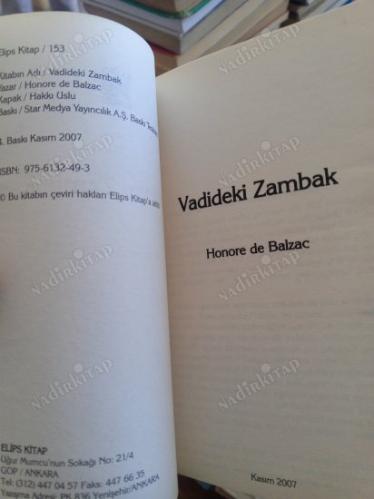 VADİDEKİ ZAMBAK