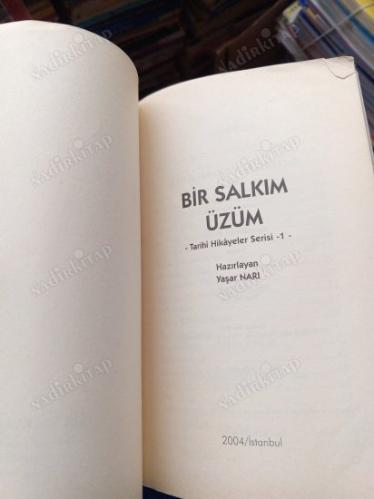 BİR SALKIM ÜZÜM