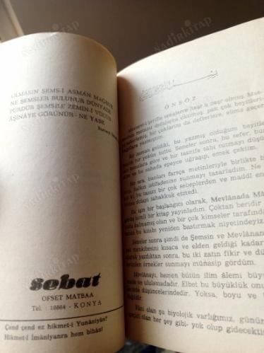 ŞEMS VE MEVLANA