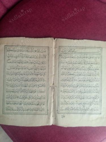Kadsemia cüzü