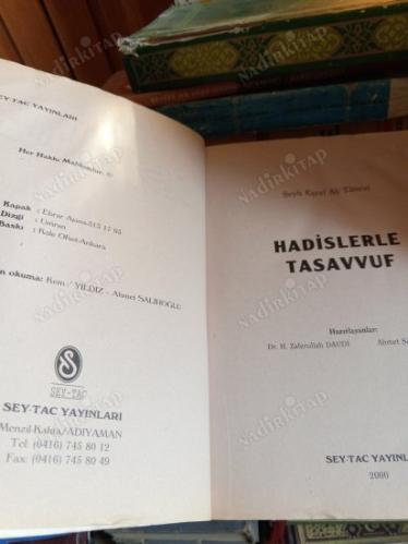 Hadislerle Tasavvuf - Ali Tanevi
