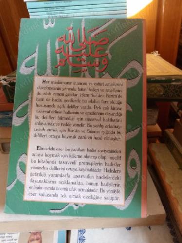 Hadislerle Tasavvuf - Ali Tanevi