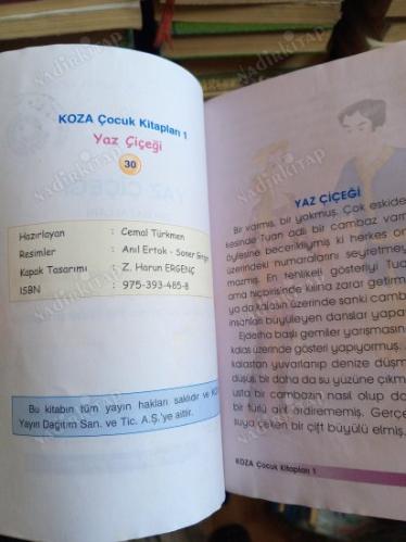 YAZ ÇİÇEĞİ ÇİN MASALLARI