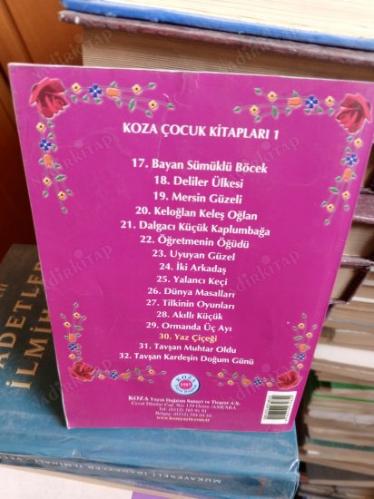 YAZ ÇİÇEĞİ ÇİN MASALLARI