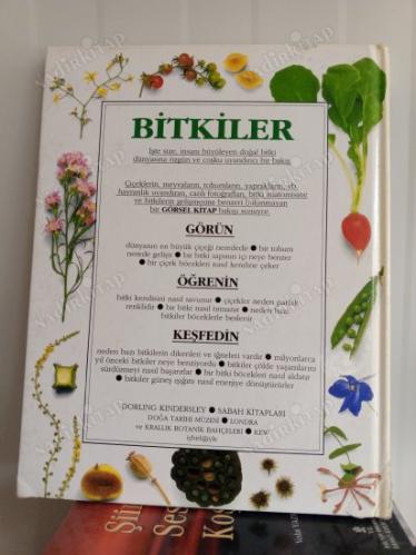 BİTKİLER- GÖRSEL -BİTKİLERİN İNSANI BÜYÜLEYEN DÜNYASINI VE YAŞAM ÖYKÜLERİNİ KEŞFEDİN