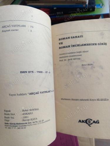 ROMAN SANATI VE ROMAN İNCELEMESİNE GİRİŞ (2. BASKI)
