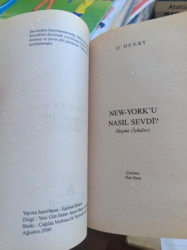 New York'u Nasıl Sevdi