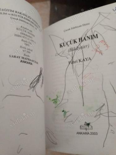 Küçük hanım