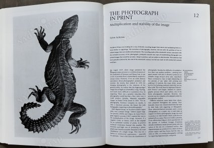 A New History of Photography