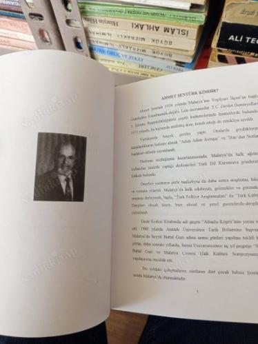 Ahmet Şentürk Bibliyografyası