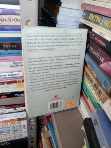 Ağaçların Üstüne Kar Yağıyordu