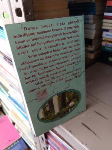 Dünya ve Âhiret