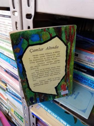Çamlar Altında