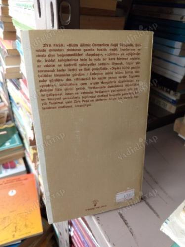Ziya Paşa Hayatı ve Şiirleri
