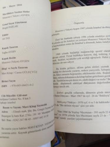 MAVİLİKLERE YAZILAN SÖZLER