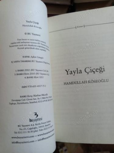 YAYLA ÇİÇEĞİ