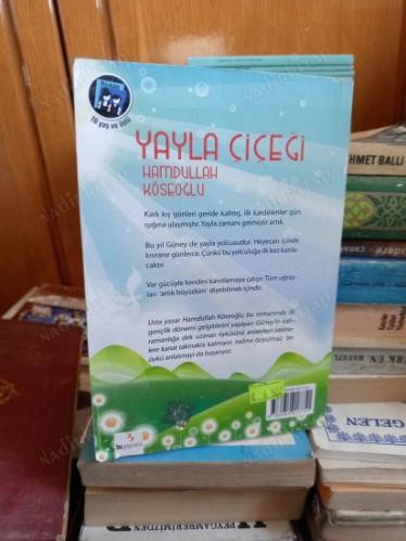 YAYLA ÇİÇEĞİ