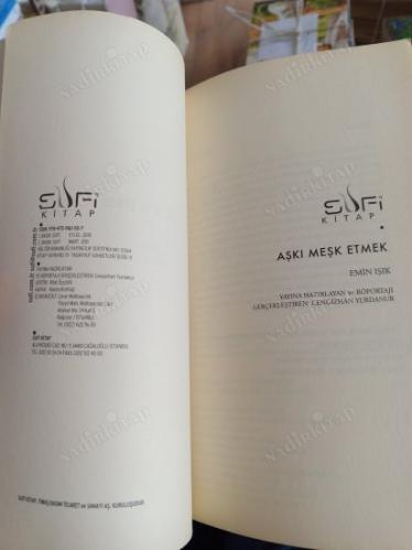 Aşkı Meşk Etmek