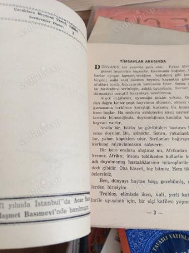 Timsahlar Arasında