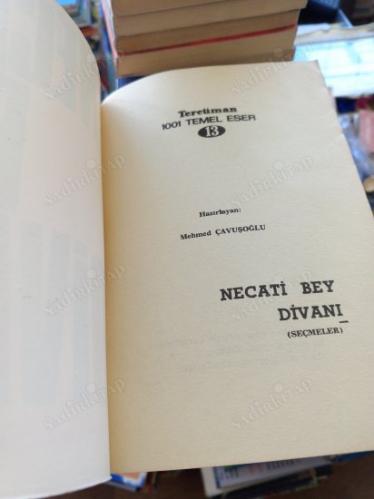 NECATİ BEY DİVANI