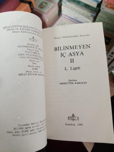 Bilinmeyen İç Asya Cilt 2