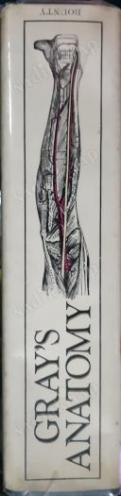 Gray's Anatomy: The Classic Collector's Edition - 780 Illustrations / Şömizli-Ciltli