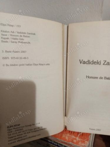 VADİDEKİ ZAMBAK