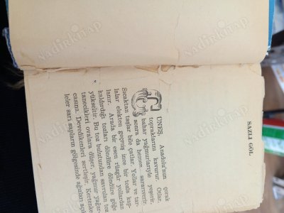 Milliyet Çocuk Kitapları Dizisi | Sazlıgöl'ün Ördekleri