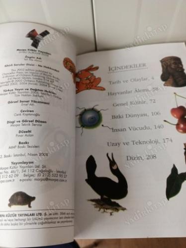 NE HAKKINDA ? Yüzlerce Sorunun Cevabı Burada