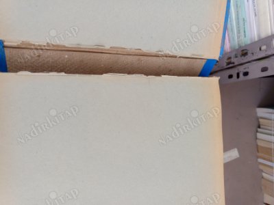 ANSİKLOPEDİK EĞİTİM SÖZLÜĞÜ