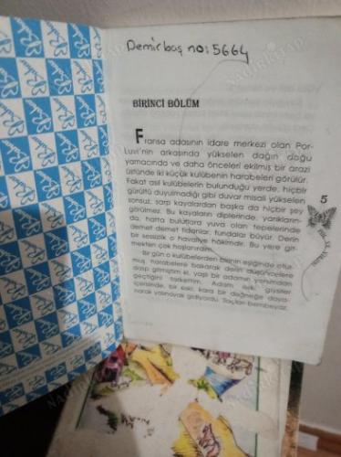 POL VE VİRJİNİ