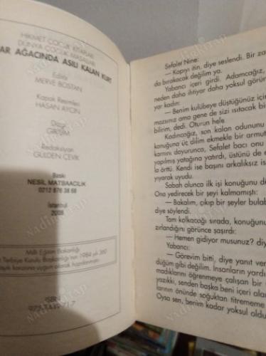 ÇINAR AĞACINDA ASILI KALAN KURT