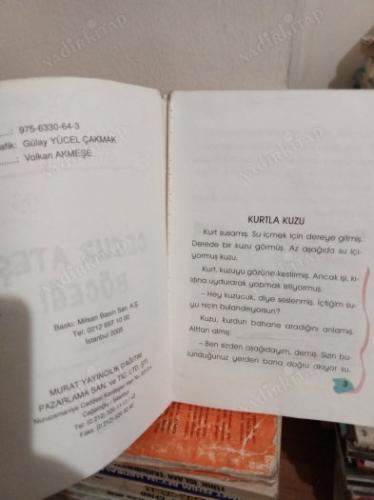 Cesur Ateşböceği