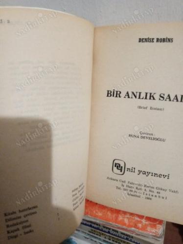 BİR ANLIK SAADET