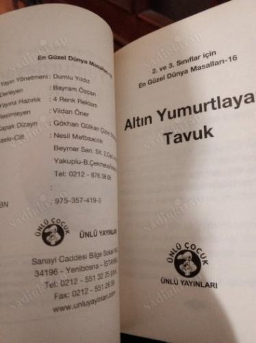 ALTIN YUMURTLAYAN TAVUK